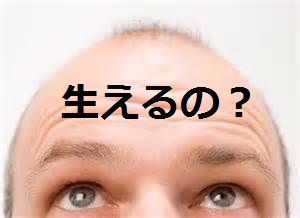 ���A�b�v�Ŕ���