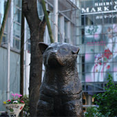 �s��AGA���Ïa�J��