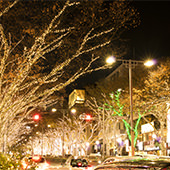 �s��AGA�a�J��